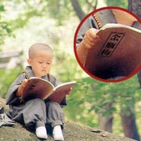 一事无成的中年咸鱼