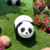 张抱
