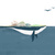 Mr_BlueWhale