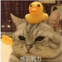 一见你如故