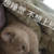 蓝色的呐