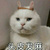 OSC_PyKkfc OSC_PyKkfc