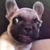 Evancess